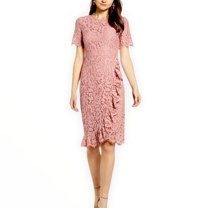 Rachel Parcell Blush Pink Lace Midi Dress